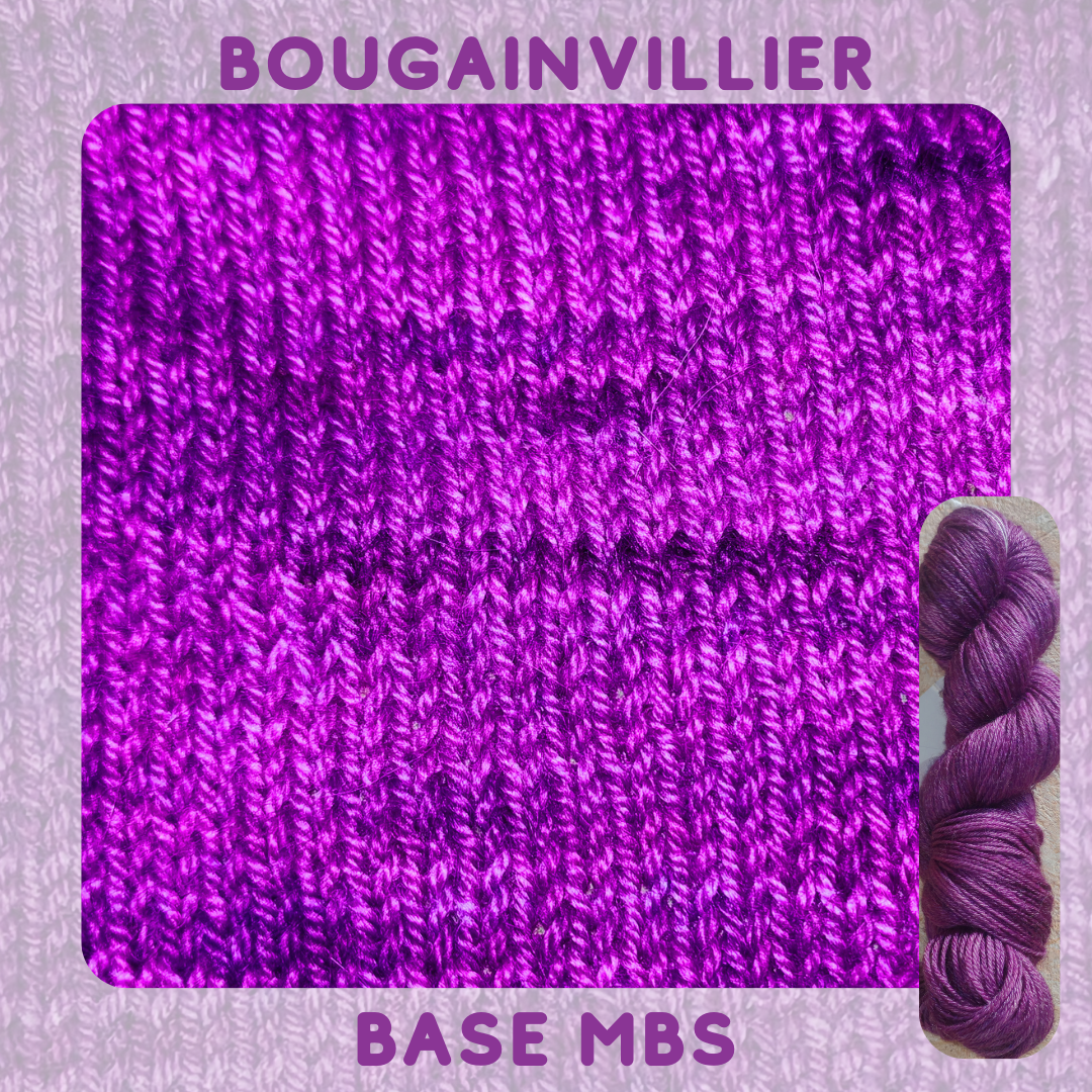 BOUGAINVILLIERS – Image 6