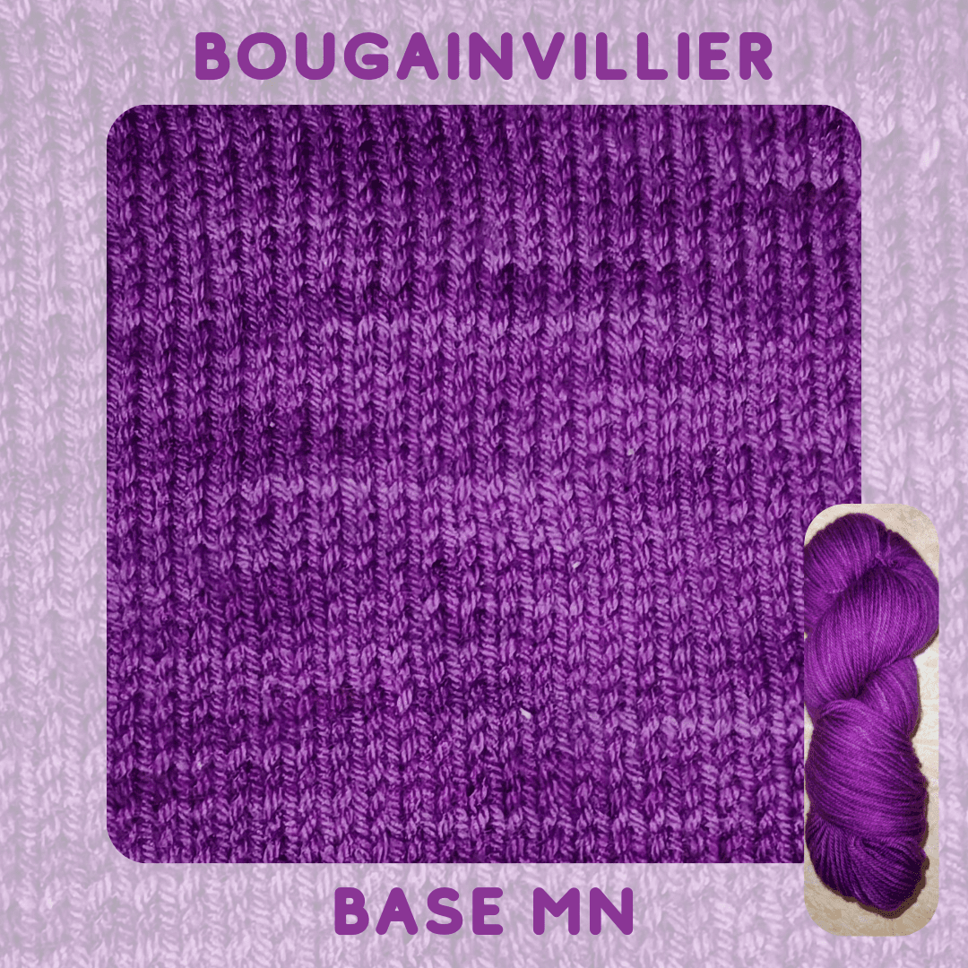 BOUGAINVILLIERS – Image 2