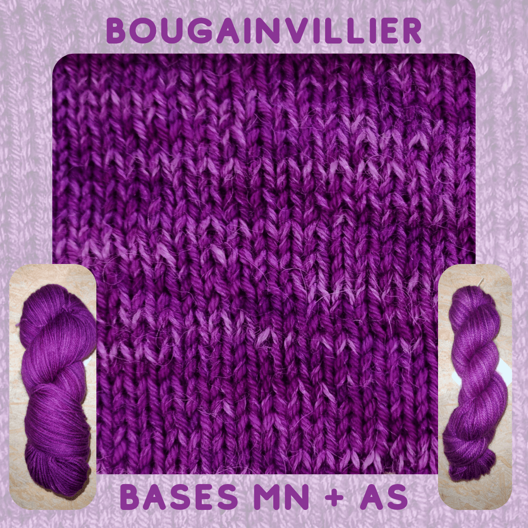 BOUGAINVILLIERS – Image 3