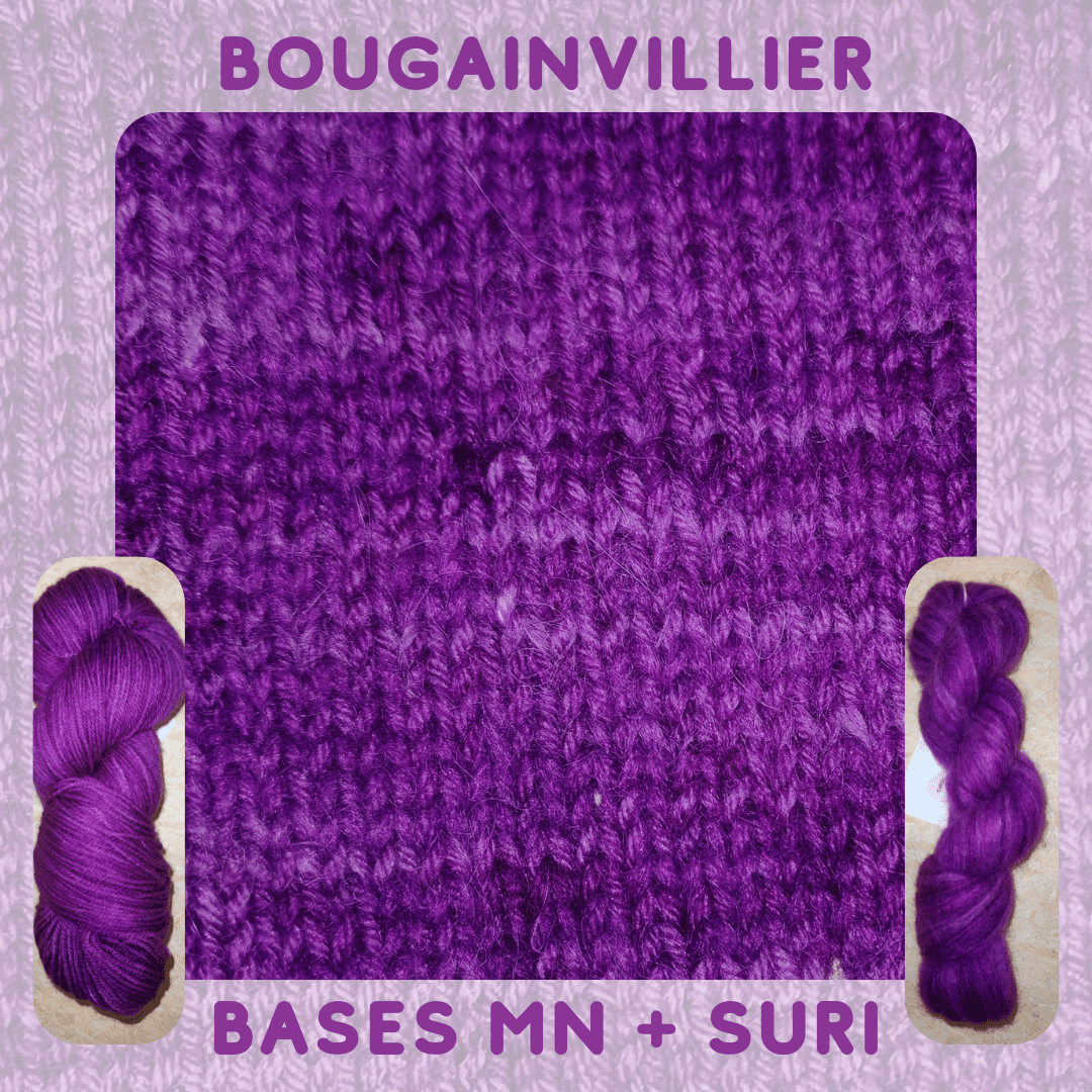 BOUGAINVILLIERS – Image 4