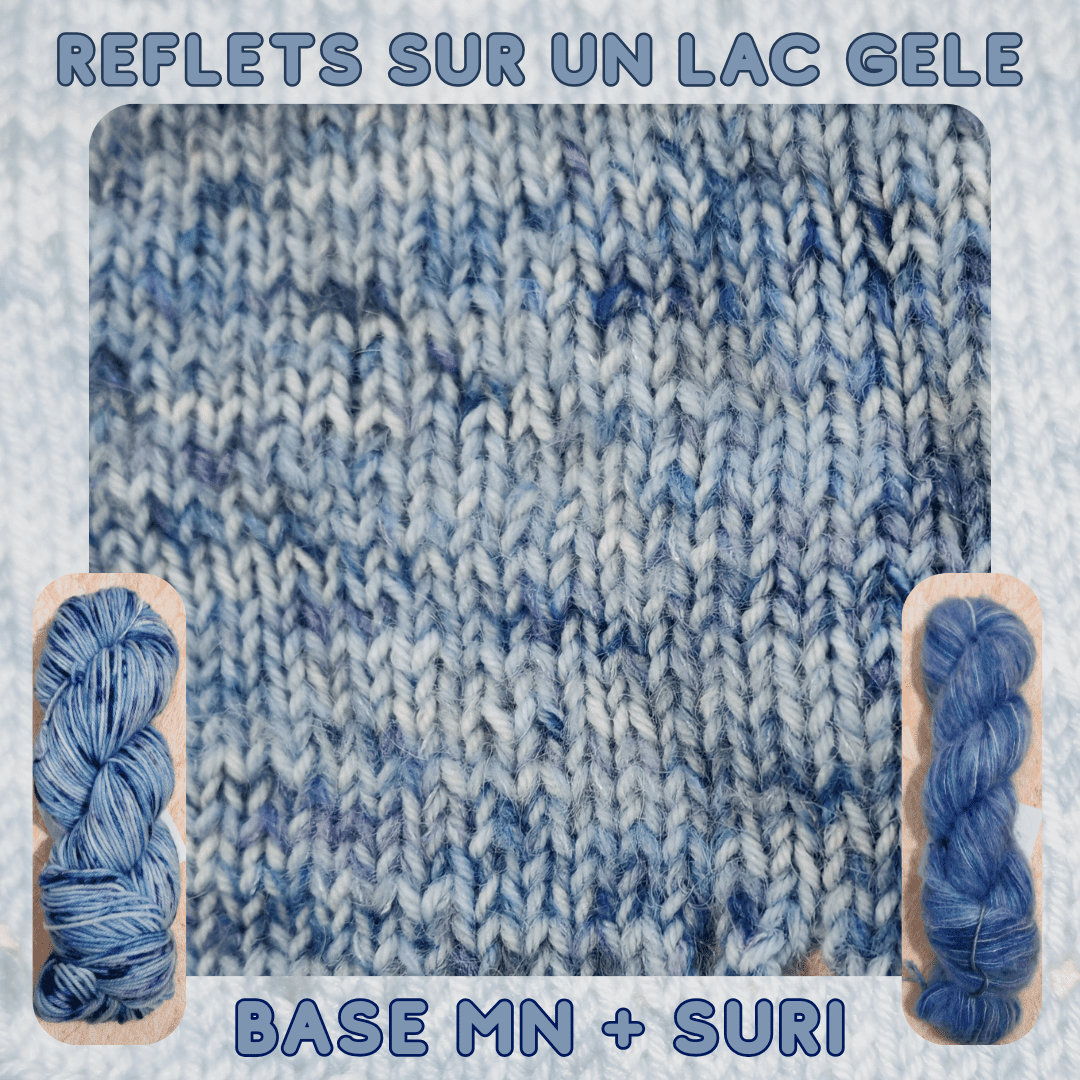 REFLETS SUR UN LAC GELE – Image 4