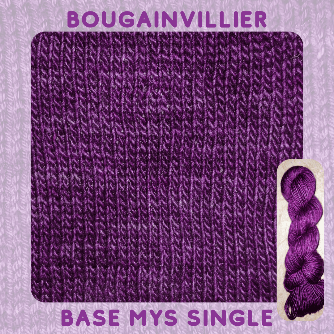 BOUGAINVILLIERS – Image 5