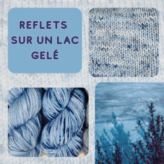 REFLETS SUR UN LAC GELE