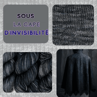 SOUS LA CAPE D'INVISIBILITE