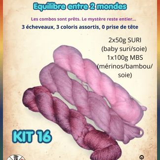 KIT 016 KNITWITCH